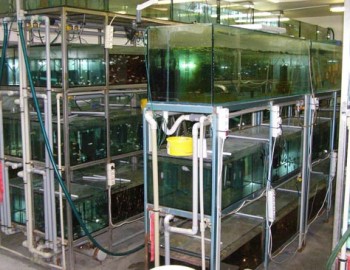 Čistírna odpadních vod Poděbrady