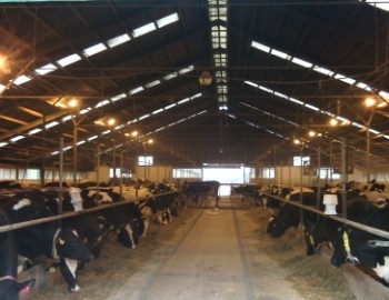 Řízení technologií farmy Okluky